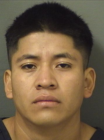  JOSE LUIS GONZALEZPEREZ Resultados de la busqueda para Palm Beach County Florida para  JOSE LUIS GONZALEZPEREZ
