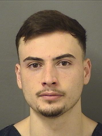  MAXIMILIAN HERMANSPECTOR SCHMIDT Results from Palm Beach County Florida for  MAXIMILIAN HERMANSPECTOR SCHMIDT