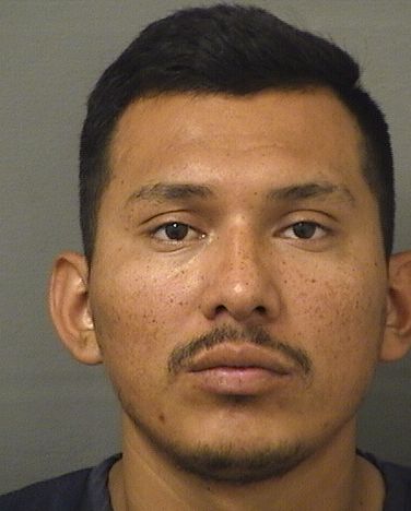 JOSE SALVADOR BLANCOSANTOS Results from Palm Beach County Florida for JOSE SALVADOR BLANCOSANTOS JOSE SALVADOR BLANCOSANTOS Results from Palm Beach County Florida for JOSE SALVADOR BLANCOSANTOS