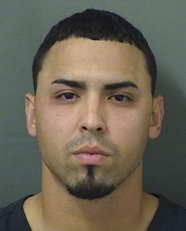  MIGUEL A RODRIGUEZHERNANDEZ Results from Palm Beach County Florida for  MIGUEL A RODRIGUEZHERNANDEZ