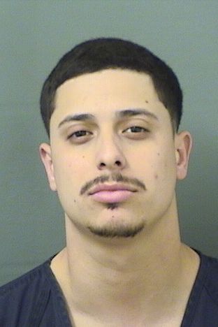  CHRISTIAN ALEMANFERNANDEZ Results from Palm Beach County Florida for  CHRISTIAN ALEMANFERNANDEZ