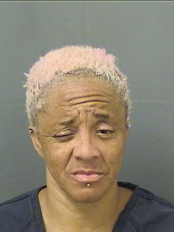  MICHELLE JANINE CUNNINGHAM Resultados de la busqueda para Palm Beach County Florida para  MICHELLE JANINE CUNNINGHAM