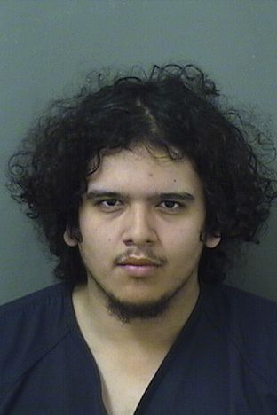  DAVID RIVERA Results from Palm Beach County Florida for  DAVID RIVERA