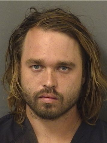  PAUL WALTER IV BRAUTIGAM Results from Palm Beach County Florida for  PAUL WALTER IV BRAUTIGAM