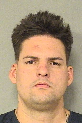  DANIEL CRUZGONZALEZ Results from Palm Beach County Florida for  DANIEL CRUZGONZALEZ