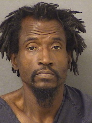  TERRY DEMITRI LAMONTEZ Results from Palm Beach County Florida for  TERRY DEMITRI LAMONTEZ