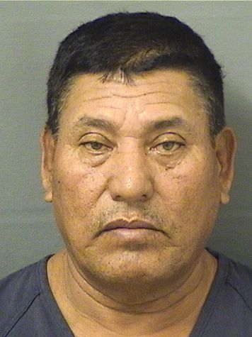 ADOLFO VASQUEZ Results from Palm Beach County Florida for ADOLFO VASQUEZ ADOLFO VASQUEZ Results from Palm Beach County Florida for ADOLFO VASQUEZ