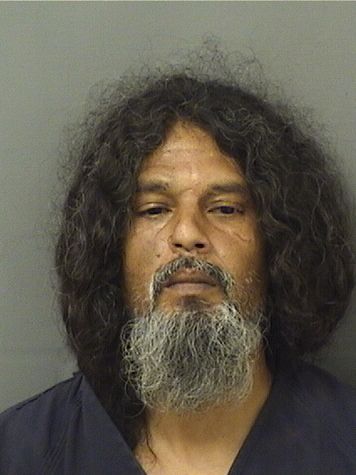  LUIS E REYES Results from Palm Beach County Florida for  LUIS E REYES
