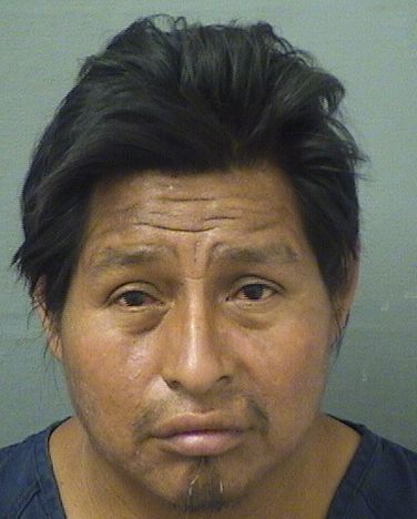  VICTOR PEREZMALDONADO Results from Palm Beach County Florida for  VICTOR PEREZMALDONADO