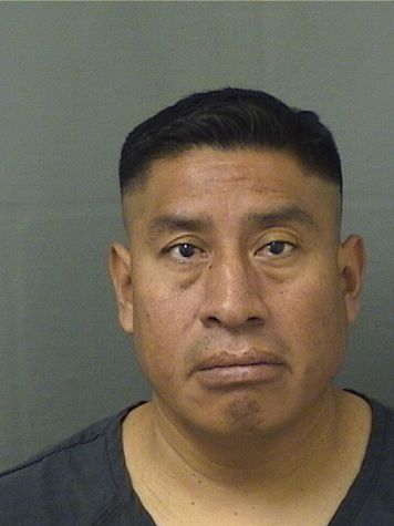  ANTONIO LOPEZPEREZ Results from Palm Beach County Florida for  ANTONIO LOPEZPEREZ