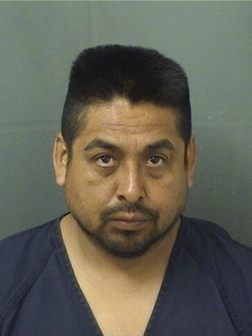 LORENZO FRANCOALCOCER Results from Palm Beach County Florida for LORENZO FRANCOALCOCER LORENZO FRANCOALCOCER Results from Palm Beach County Florida for LORENZO FRANCOALCOCER