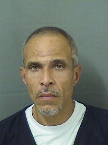  MICHAEL JESSE HUDGINS Results from Palm Beach County Florida for  MICHAEL JESSE HUDGINS