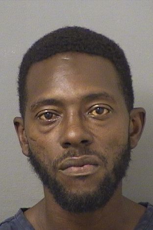  RONALD J JACKSON Results from Palm Beach County Florida for  RONALD J JACKSON