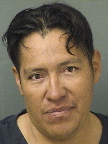  ELIGIO HAROLDO CHUNCALEL Results from Palm Beach County Florida for  ELIGIO HAROLDO CHUNCALEL