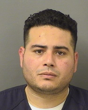  ANGEL ARTURO DELAVEGA Results from Palm Beach County Florida for  ANGEL ARTURO DELAVEGA