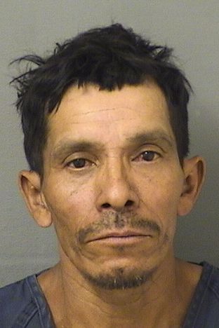  JOSE ELIASVASQUEZ Photo