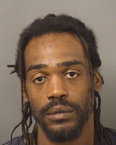  TYRIK J LEWIS Results from Palm Beach County Florida for  TYRIK J LEWIS