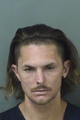  MICHAEL ANTHONY GUARNEIRI Results from Palm Beach County Florida for  MICHAEL ANTHONY GUARNEIRI