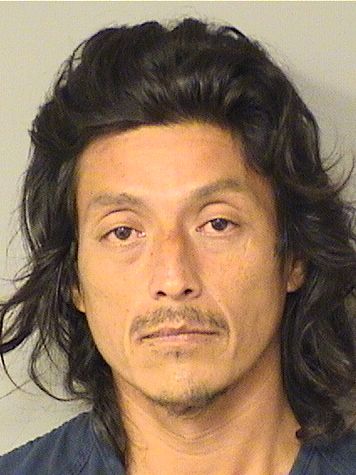  ANDRES A RODRIGUEZ Resultados de la busqueda para Palm Beach County Florida para  ANDRES A RODRIGUEZ