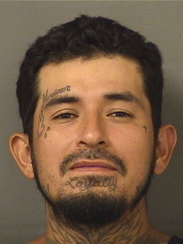 JUAN CARLOS FLORES Results from Palm Beach County Florida for JUAN CARLOS FLORES JUAN CARLOS FLORES Results from Palm Beach County Florida for JUAN CARLOS FLORES
