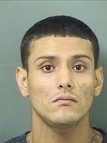  ALEXANDER BENNETT MATTYS Results from Palm Beach County Florida for  ALEXANDER BENNETT MATTYS