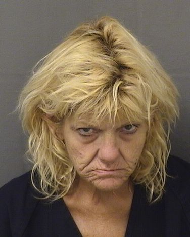  CHRISTINE KAY BOWE Results from Palm Beach County Florida for  CHRISTINE KAY BOWE