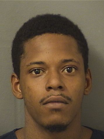  MICHAEL BERNARD PIERRE Results from Palm Beach County Florida for  MICHAEL BERNARD PIERRE