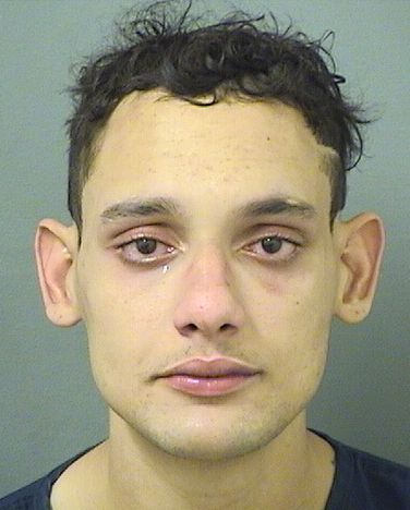  TOMAS XAVIER COLLIER Results from Palm Beach County Florida for  TOMAS XAVIER COLLIER