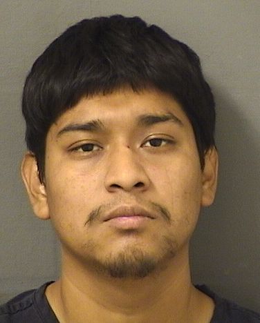  ANDERSON ABRAM VELASQUEZRAMIREZ Results from Palm Beach County Florida for  ANDERSON ABRAM VELASQUEZRAMIREZ