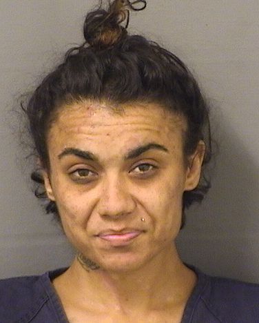  ALESCIA M LIANNOTTI Results from Palm Beach County Florida for  ALESCIA M LIANNOTTI