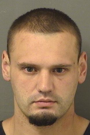  THOMAS BRENDEN SCHICKEL Results from Palm Beach County Florida for  THOMAS BRENDEN SCHICKEL