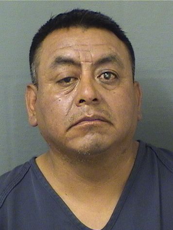  MIGUEL ANGEL PASCUALMARTIN Results from Palm Beach County Florida for  MIGUEL ANGEL PASCUALMARTIN