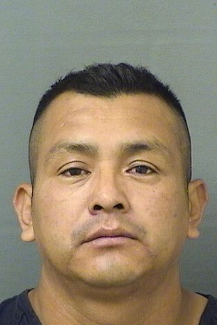  CAYETANO MONTEJODOMINGO Results from Palm Beach County Florida for  CAYETANO MONTEJODOMINGO