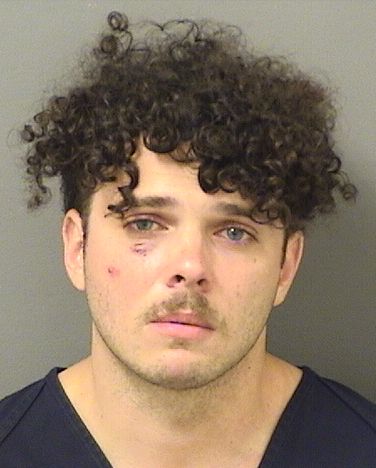  BRENDAN THOMAS PALMACCIO Results from Palm Beach County Florida for  BRENDAN THOMAS PALMACCIO