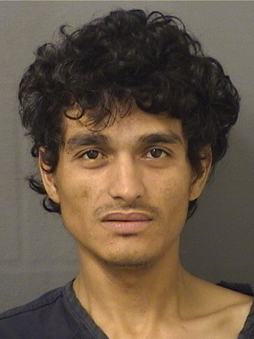  EDVIN N FAJARDOPAIZ Results from Palm Beach County Florida for  EDVIN N FAJARDOPAIZ