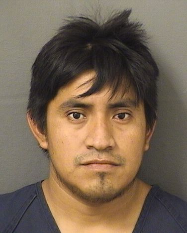  GERSON GOMEZPEREZ Resultados de la busqueda para Palm Beach County Florida para  GERSON GOMEZPEREZ