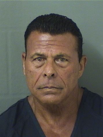  JOSEPH MICHAEL SACCO Results from Palm Beach County Florida for  JOSEPH MICHAEL SACCO