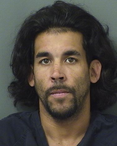 ROBERTO HERNANDEZDEALBA Results from Palm Beach County Florida for ROBERTO HERNANDEZDEALBA ROBERTO HERNANDEZDEALBA Results from Palm Beach County Florida for ROBERTO HERNANDEZDEALBA