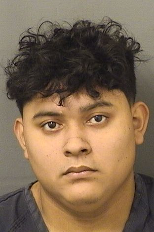  WILMER ALEXSANDER LOPEZRUIZ Results from Palm Beach County Florida for  WILMER ALEXSANDER LOPEZRUIZ