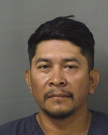  BENACIO LOPEZ Results from Palm Beach County Florida for  BENACIO LOPEZ