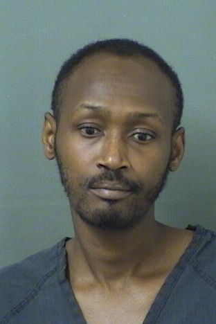  ALAIN DORSAINVIL Results from Palm Beach County Florida for  ALAIN DORSAINVIL