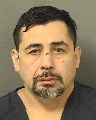  JOSE R MARQUEZARGUETA Results from Palm Beach County Florida for  JOSE R MARQUEZARGUETA