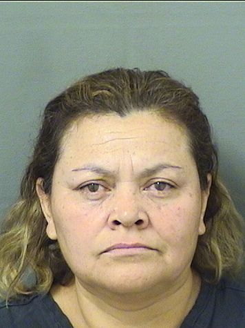  BECY LLACENY MORALESSEVIA Resultados de la busqueda para Palm Beach County Florida para  BECY LLACENY MORALESSEVIA