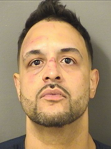  JONATHAN MOTA Photo For  JONATHAN MOTA