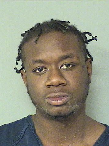  PETER ALLEN MCCLARIN Results from Palm Beach County Florida for  PETER ALLEN MCCLARIN
