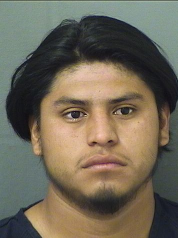  AXEL NORLASCOMORALES Results from Palm Beach County Florida for  AXEL NORLASCOMORALES