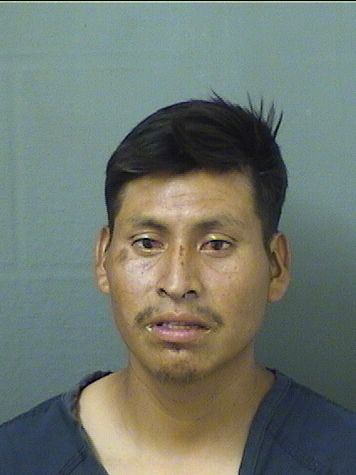  LUIS SANCHEZVELASQUEZ Results from Palm Beach County Florida for  LUIS SANCHEZVELASQUEZ