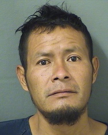  JESUS BALTAZAR FRANCISCOSIMON Resultados de la busqueda para Palm Beach County Florida para  JESUS BALTAZAR FRANCISCOSIMON