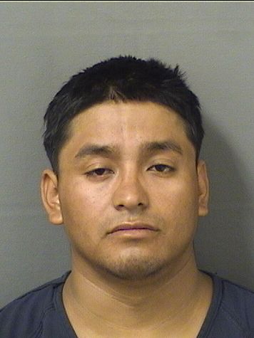  DEIBYS ALEXANDER CINTOGONZALEZ Results from Palm Beach County Florida for  DEIBYS ALEXANDER CINTOGONZALEZ