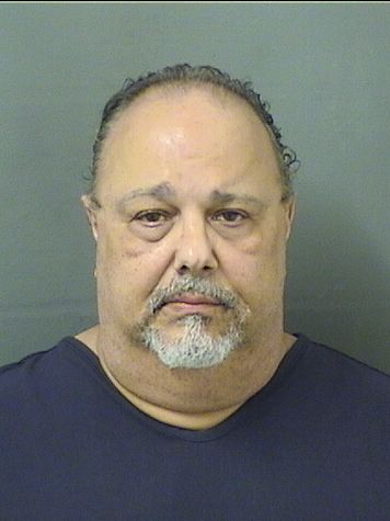  MICHAEL ETTORE ALFANO Results from Palm Beach County Florida for  MICHAEL ETTORE ALFANO